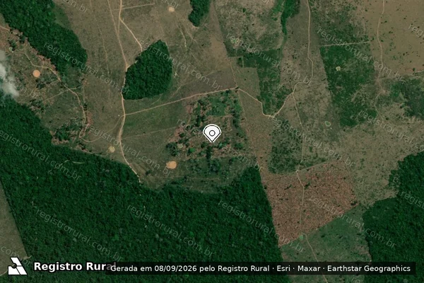 Imagem de satélite de Infração da Flora em Medicilândia - PA (marcador da localização)