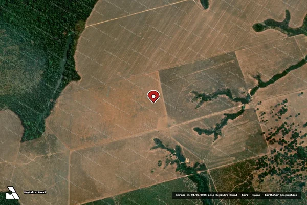 Imagem de satélite de Infração Ambiental em Altamira - PA (marcador da localização)
