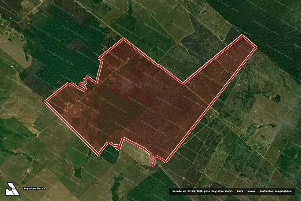 Imagem de satélite — Embargo IBAMA — Infração da Flora - Porto Velho/RO