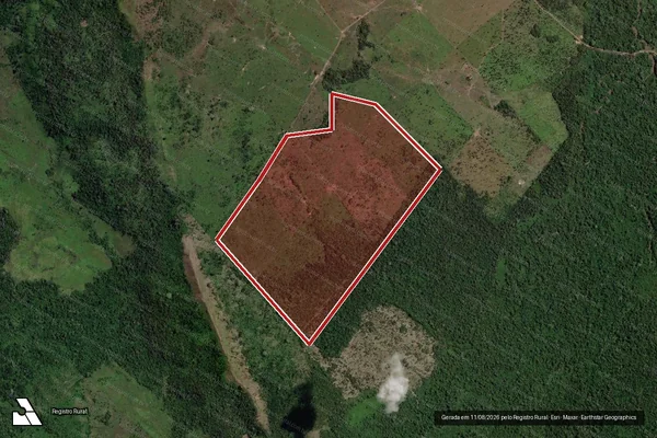 Imagem de satélite de Infração Ambiental em São Félix do Xingu - PA