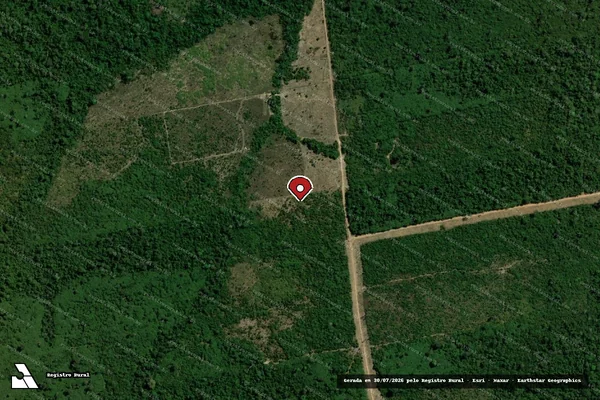 Imagem de satélite de Infração da Flora em Paranaíta - MT (marcador da localização)