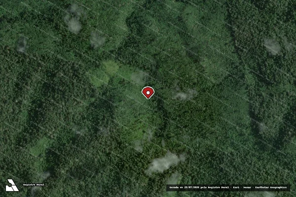 Imagem de satélite de Infração Ambiental em Placas - PA (marcador da localização)