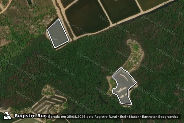 Imagem de satélite — Embargo IBAMA — Infração da Flora - Pacatuba/SE