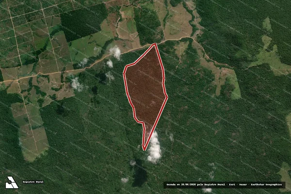 Imagem de satélite — Embargo IBAMA — Infração da Flora - Itaituba/PA