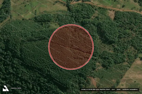 Imagem de satélite de Infração da Flora em Seara - SC