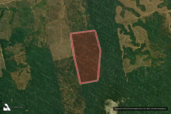 Imagem de satélite de Infração Ambiental em Trairão - PA