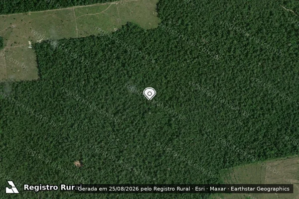 Imagem de satélite de Infração da Flora em Rorainópolis - RR (marcador da localização)