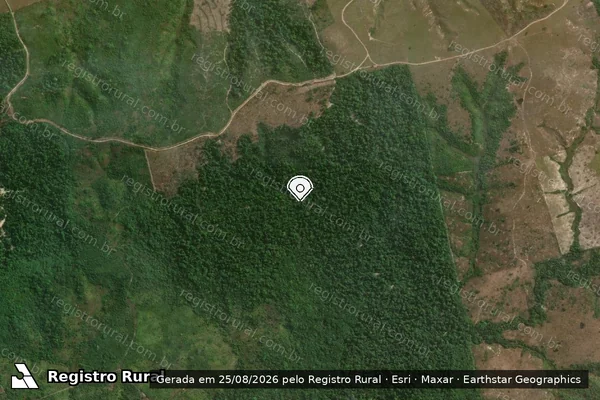 Imagem de satélite — Embargo IBAMA — Infração da Flora — Rondon do Pará/PA