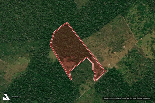 Imagem de satélite de Infração Ambiental em Boca do Acre - AM