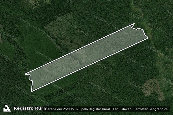Imagem de satélite de Infração Ambiental em Cujubim - RO