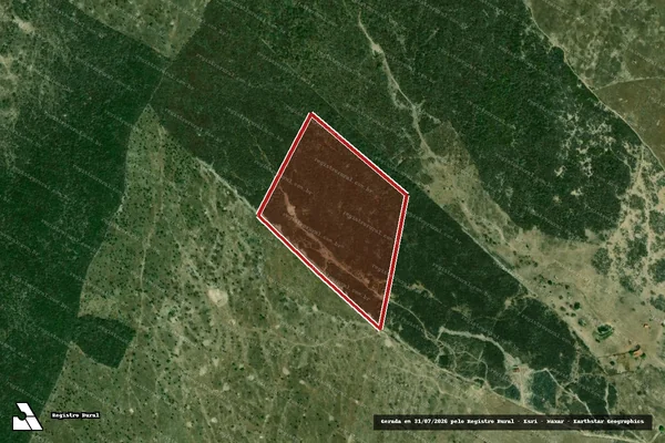 Imagem de satélite — Embargo IBAMA — Infração da Flora — Itabaianinha/SE