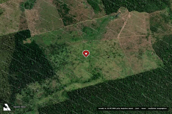 Imagem de satélite de Infração da Flora em Altamira - PA (marcador da localização)