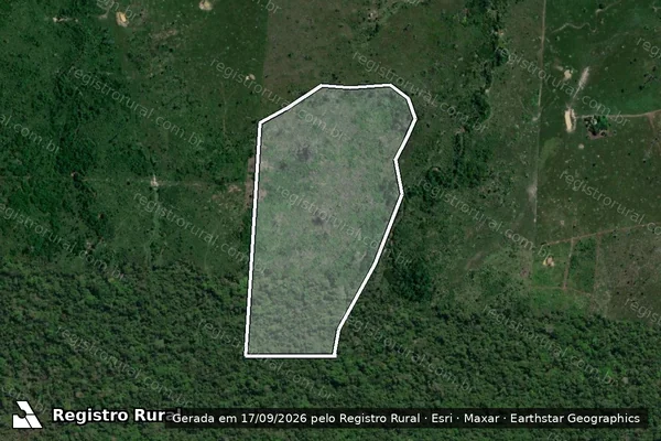 Imagem de satélite — Embargo IBAMA — Infração da Flora - São Félix do Xingu/PA