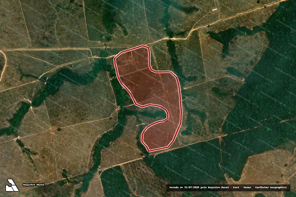 Imagem de satélite de Infração da Flora em Novo Progresso - PA