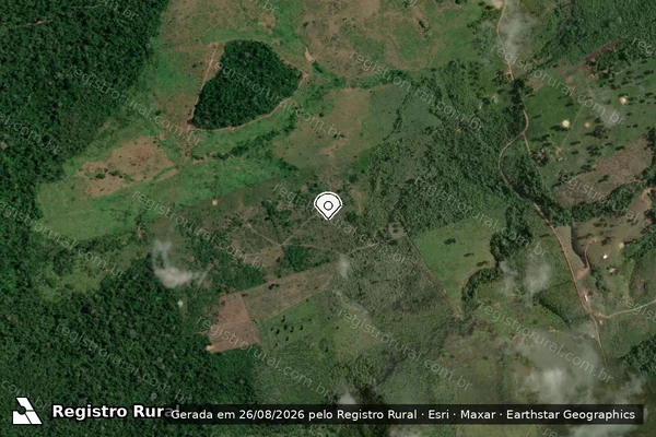 Imagem de satélite — Embargo IBAMA — Infração da Flora - Medicilândia/PA