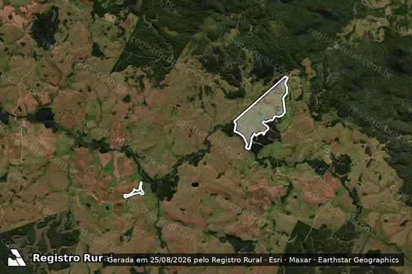 Imagem de satélite de Infração da Flora em Palmas - PR