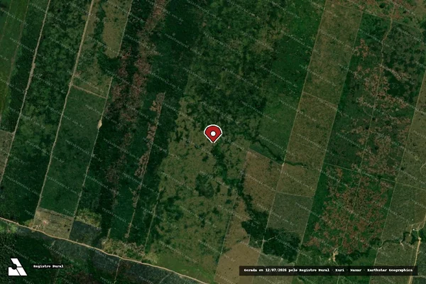 Imagem de satélite de Infração Ambiental em Porto Velho - RO (marcador da localização)