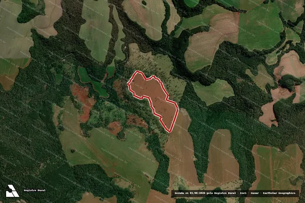 Imagem de satélite de Infração da Flora em Candói - PR