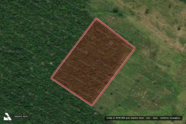 Imagem de satélite — Embargo IBAMA — Infração da Flora - Anapu/PA
