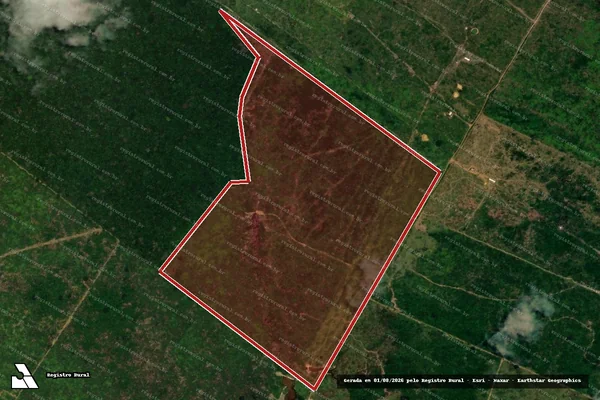 Imagem de satélite de Infração Ambiental em Porto Velho - RO