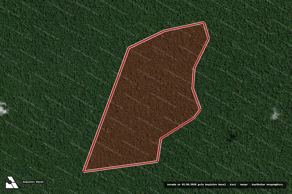 Imagem de satélite de Infração da Flora em Medicilândia - PA