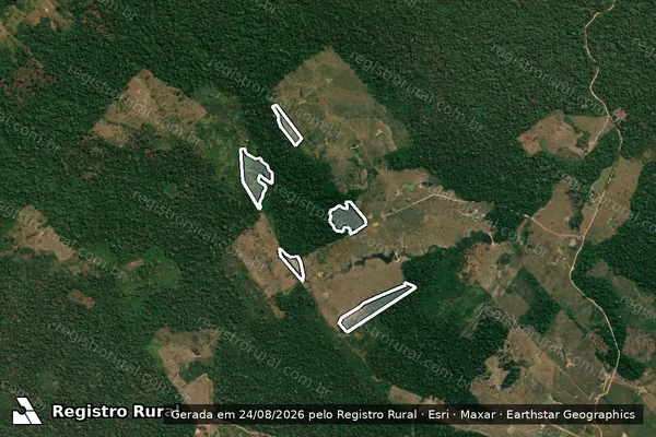 Imagem de satélite de Infração da Flora em Bujari - AC