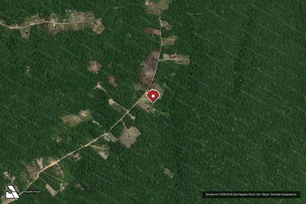 Imagem de satélite — Embargo IBAMA — Infração da Flora - Manaus/AM