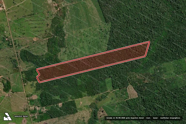 Imagem de satélite de Infração da Flora em Placas - PA