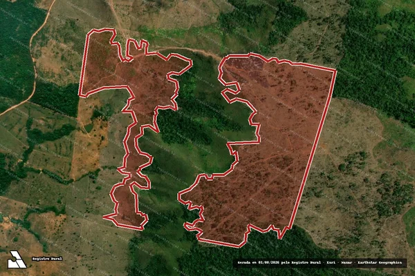 Imagem de satélite de Infração da Flora em São Félix do Xingu - PA