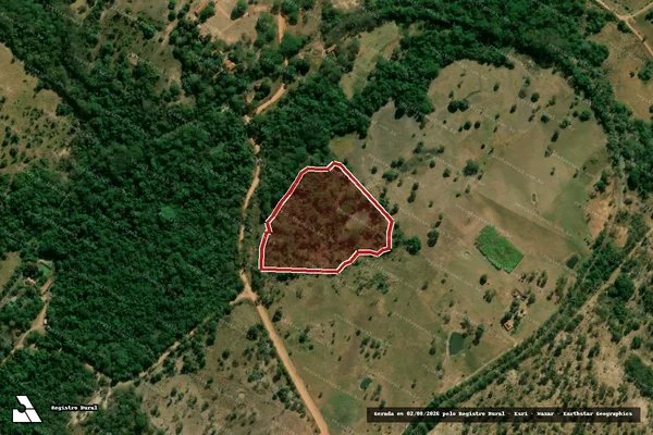 Imagem de satélite de Infração da Flora em Miranda - MS