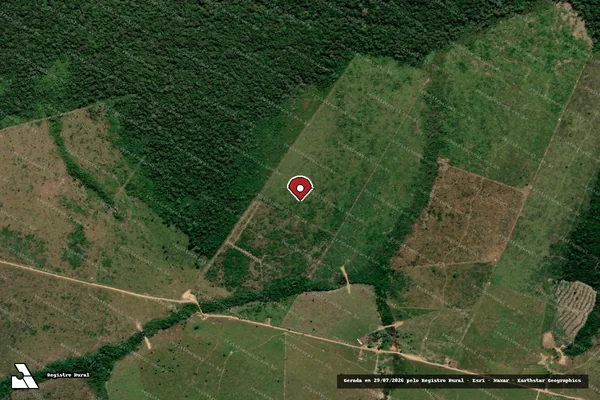 Imagem de satélite de Infração Ambiental em Apuí - AM (marcador da localização)