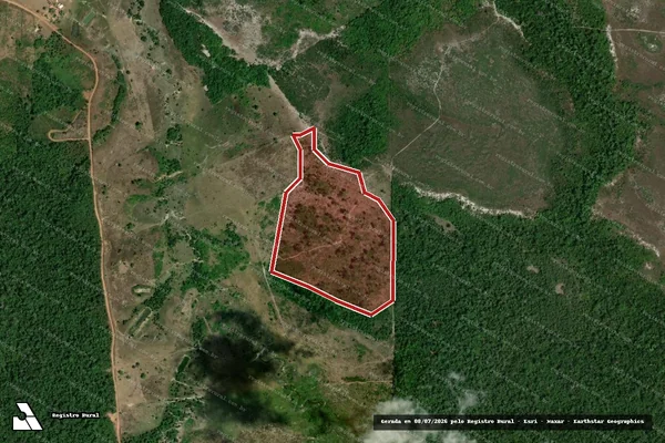 Imagem de satélite — Embargo IBAMA — Infração da Flora — Caracaraí/RR