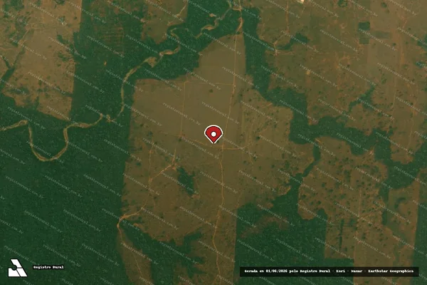 Imagem de satélite de Infração da Flora em Porto Velho - RO (marcador da localização)