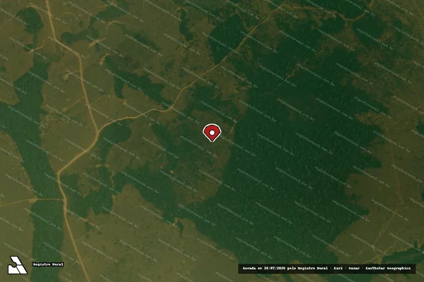 Imagem de satélite de Infração da Flora em Porto Velho - RO (marcador da localização)