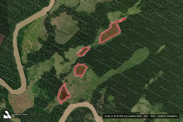 Imagem de satélite de Infração da Flora em Boca do Acre - AM