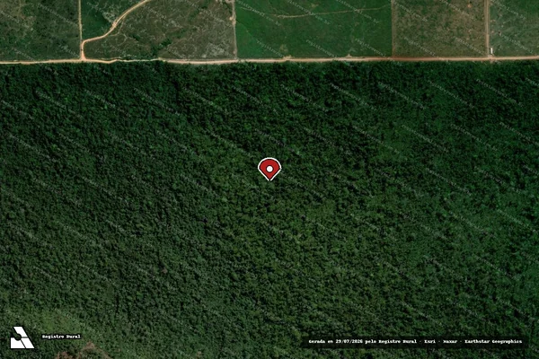 Imagem de satélite de Infração Ambiental em Altamira - PA (marcador da localização)
