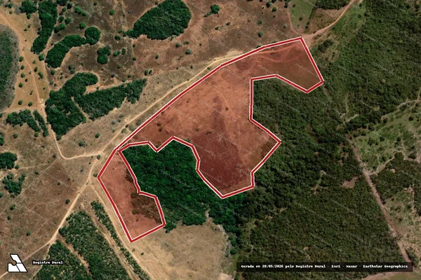 Imagem de satélite — Embargo IBAMA — Infração da Flora — Formoso do Araguaia/TO