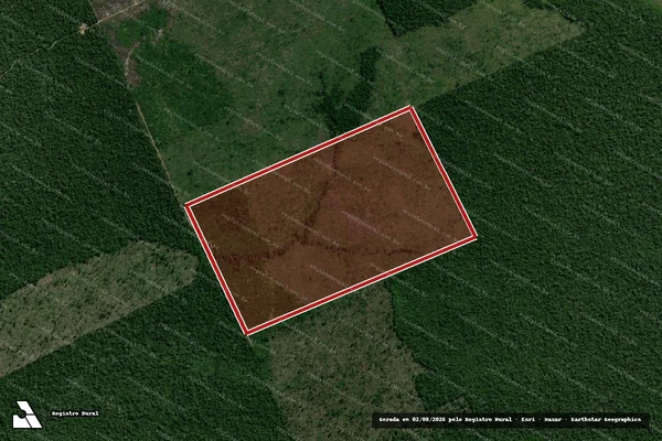Imagem de satélite de Infração Ambiental em Porto Velho - RO