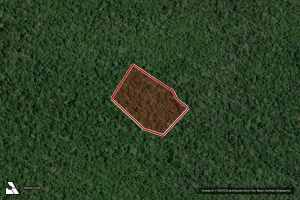 Imagem de satélite de Infração da Flora em Rorainópolis - RR