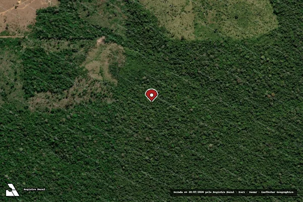 Imagem de satélite — Embargo IBAMA — Infração da Flora - Colniza/MT