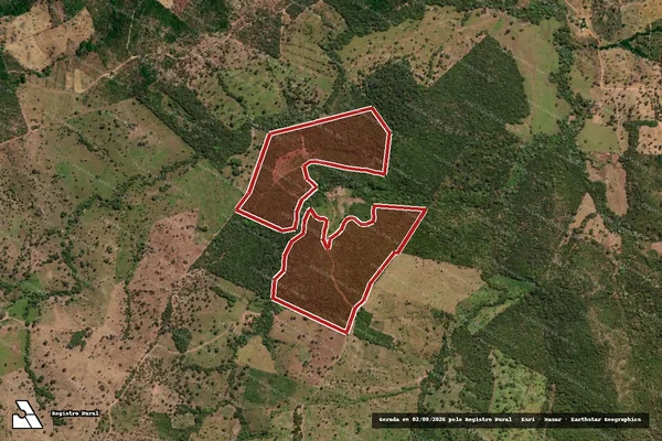 Imagem de satélite de Infração Ambiental em Barrolândia - TO