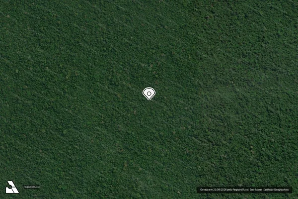 Imagem de satélite de Infração da Flora em Novo Progresso - PA (marcador da localização)
