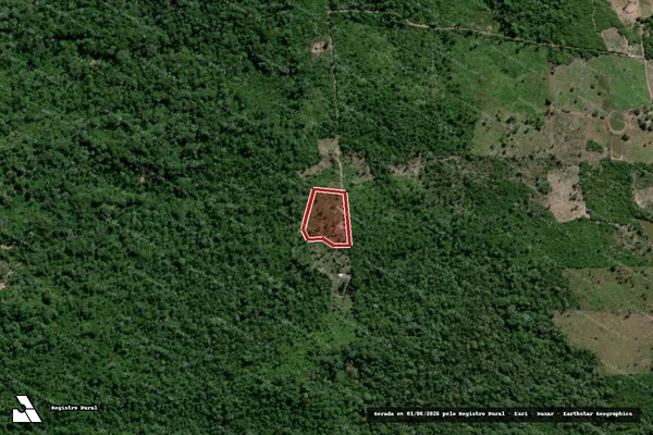Imagem de satélite — Embargo IBAMA — Infração da Flora — Sítio Novo do Tocantins/TO