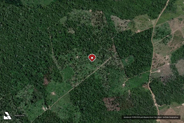 Imagem de satélite de Infração Ambiental em São Félix do Xingu - PA (marcador da localização)