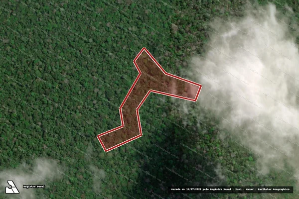 Imagem de satélite — Embargo IBAMA — Infração da Flora - Laranjal do Jari/AP
