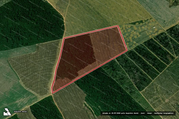 Imagem de satélite de Infração da Flora em Rondon do Pará - PA