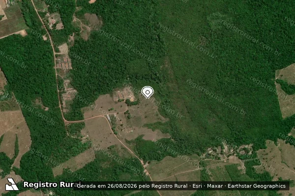 Imagem de satélite de Infração da Flora em Tomé-Açu - PA (marcador da localização)