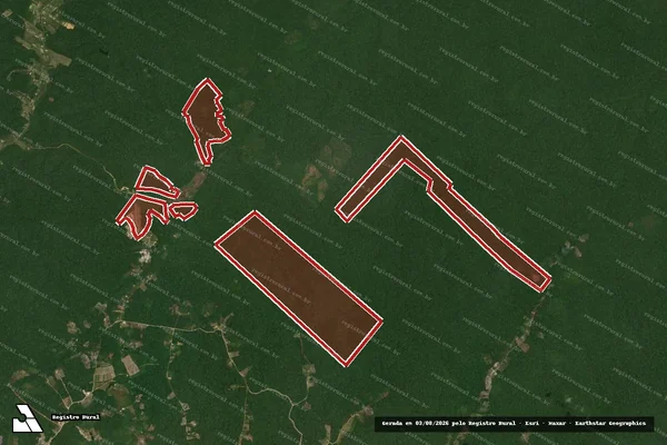 Imagem de satélite — Embargo IBAMA — Infração da Flora — Rio Preto da Eva/AM