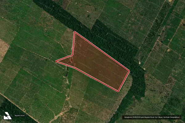 Imagem de satélite de Infração da Flora em Porto Velho - RO