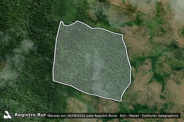 Imagem de satélite de Infração da Flora em Pacajá - PA